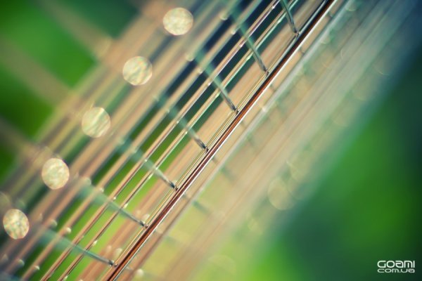 Фотовиставка Діми Goami